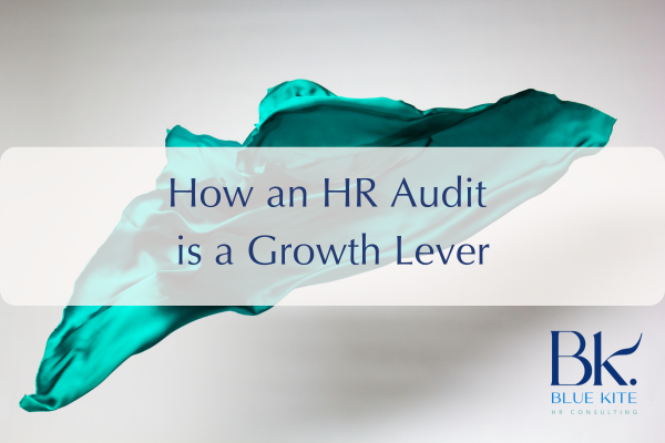 HR Audit as a Growth Lever
